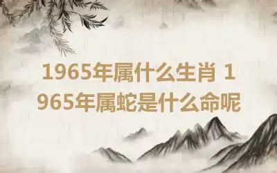 1965生肖|65年属什么 1965年属什么